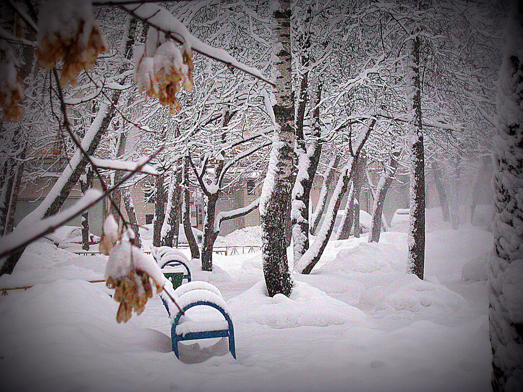 Январь. - Владимир Драгунский