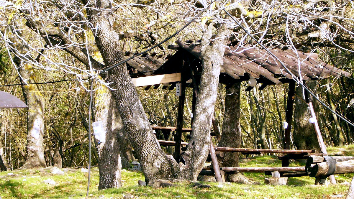 Беседка в лесу - Ольга Протасова