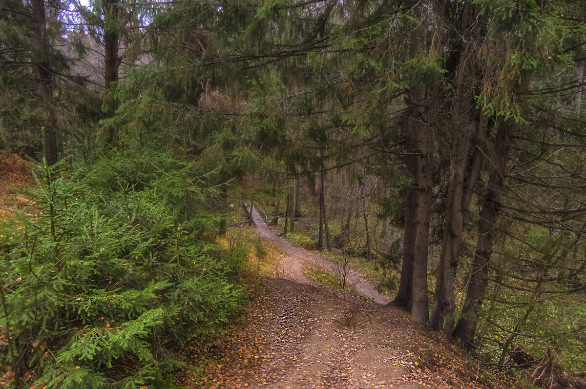Тропинка к роднику - Сергей Цветков Тропинка к роднику - Сергей Цветков