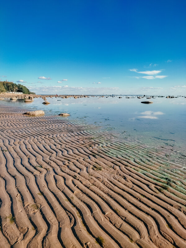 Прогулка по дну морскому - Юля Жуковская