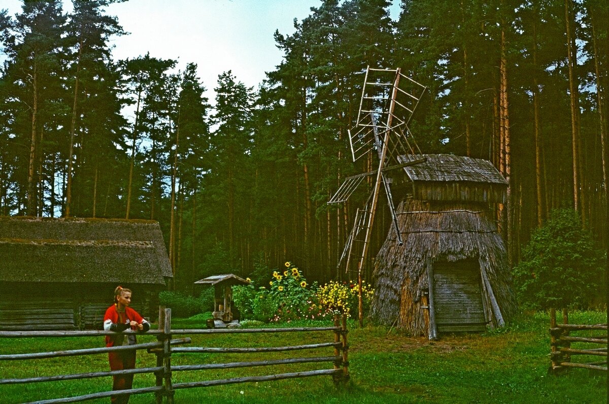 ЛАТВИЯ, этнографический парк. - Виктор Осипчук