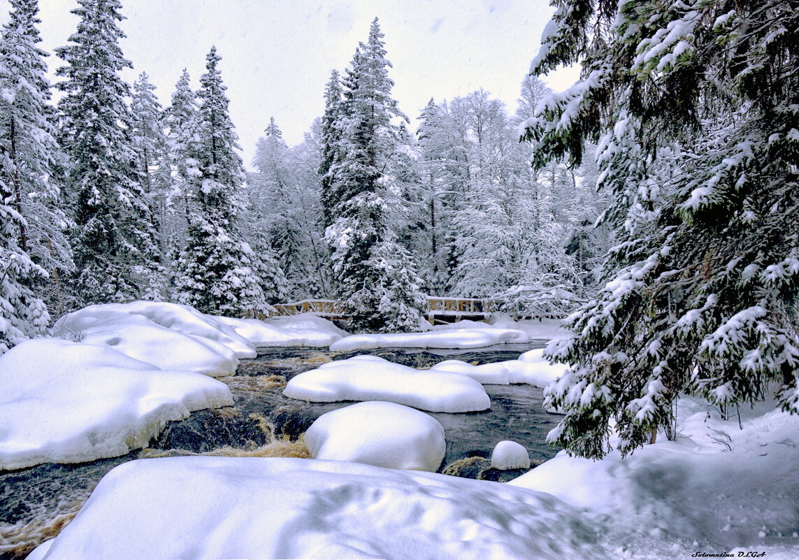 Карелия - Ольга Cоломатина Карелия - Ольга Cоломатина