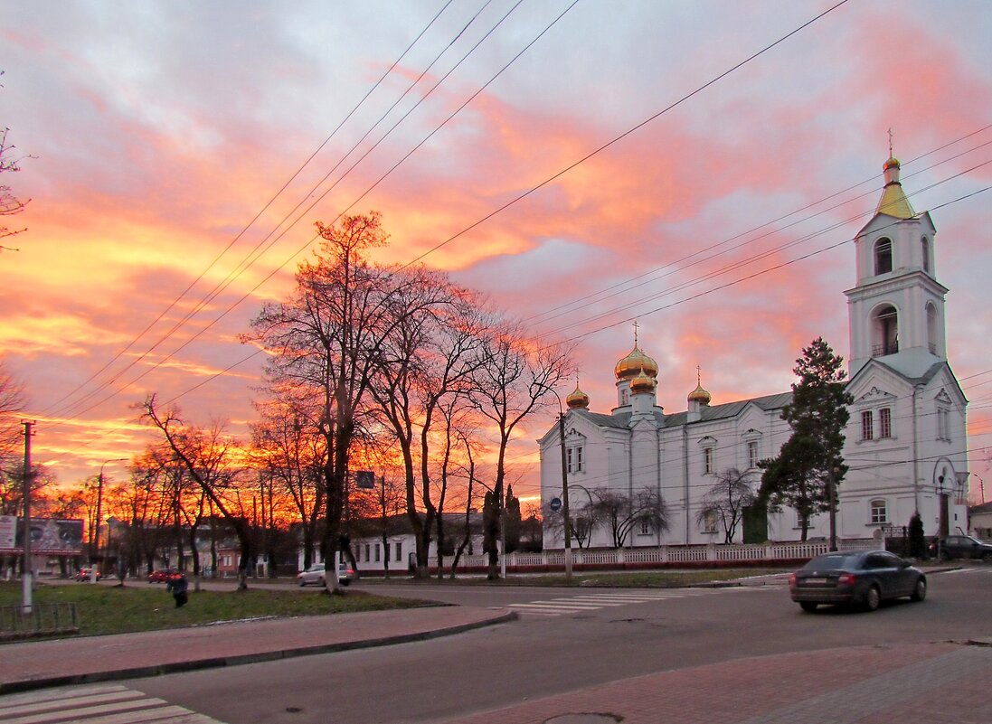 Утро - Роман Савоцкий