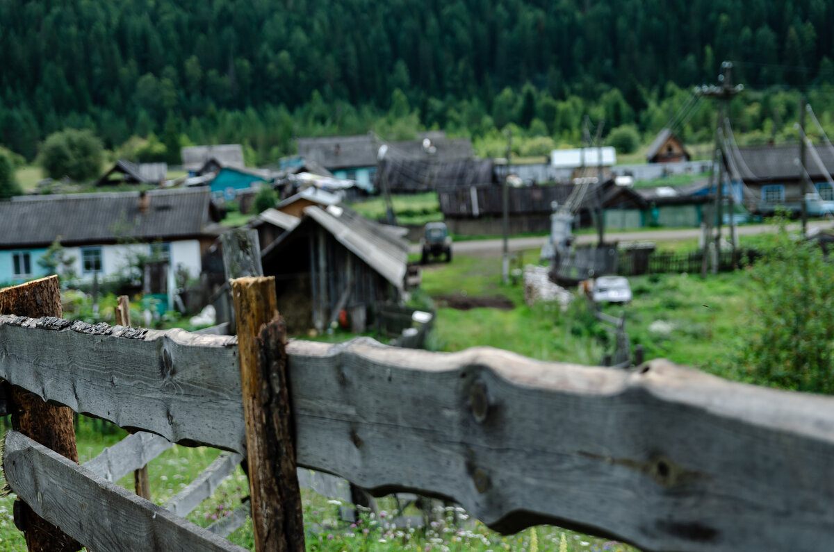 *** - Елена Берсенёва