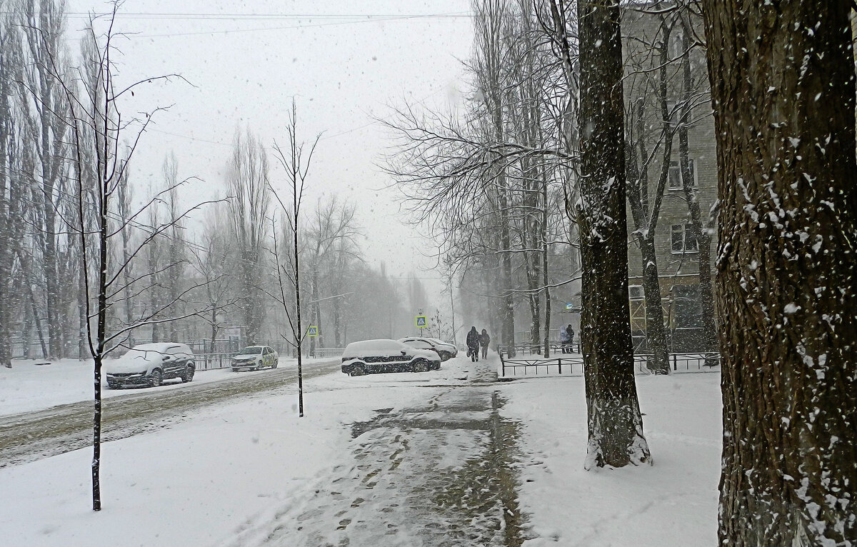 *** - Лера *** - Лера