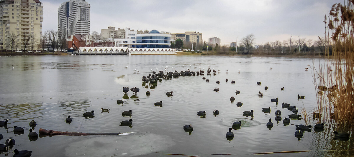 Скоро весна - Игорь Протасов Скоро весна - Игорь Протасов