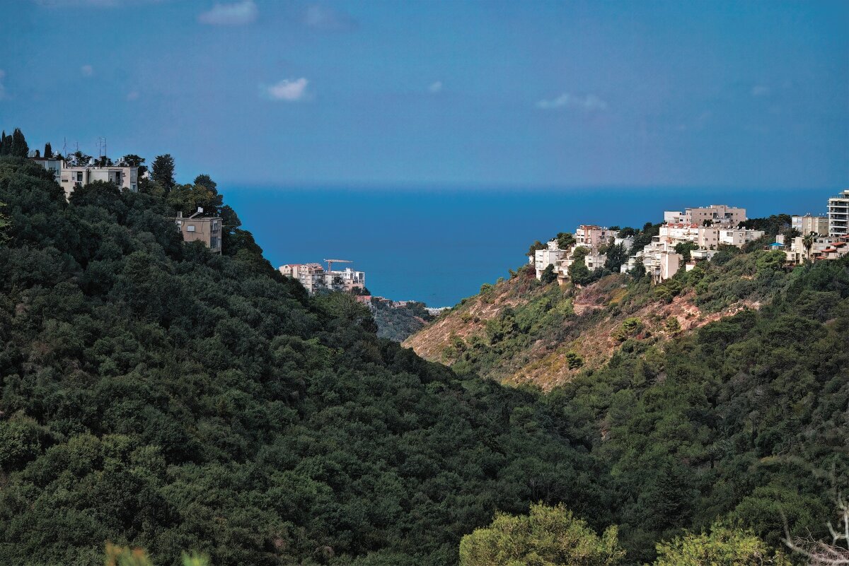 Хайфа    *Израиль - ujgcvbif 