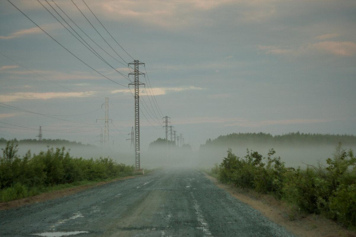 Утро на болоте - Дмитрий Костоусов Утро на болоте - Дмитрий Костоусов
