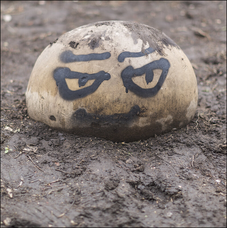 Из грязи... - Александр Тарноградский