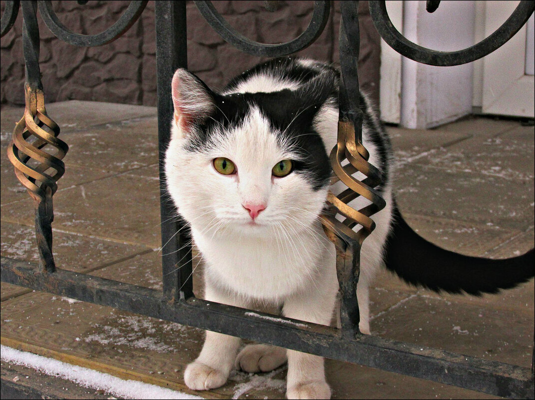 . - Leonid Rutov . - Leonid Rutov