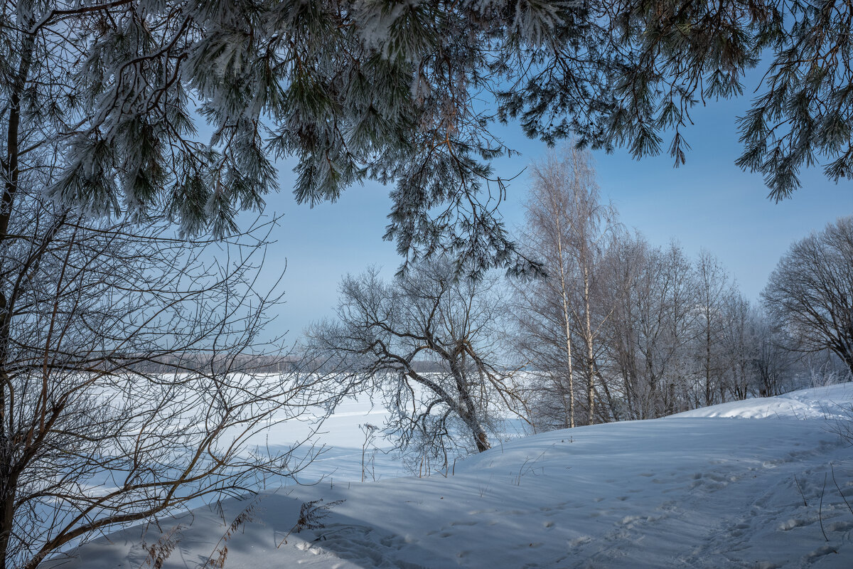 "Исподбровья"... - Михаил "Skipper"