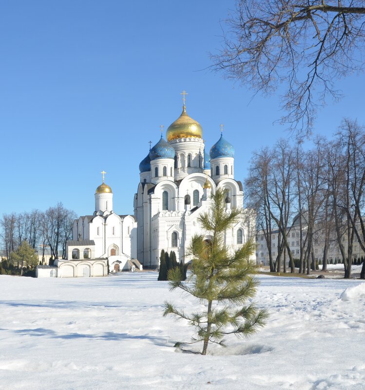 Никольский и Преображенский соборы. Николо-Угрешский монастырь - Oleg4618 Шутченко