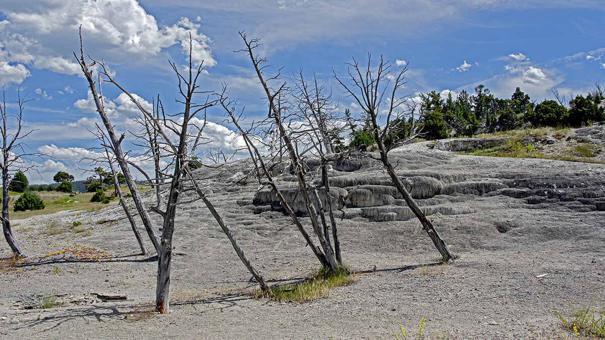 Mammoth Hot Springs - Petr @+