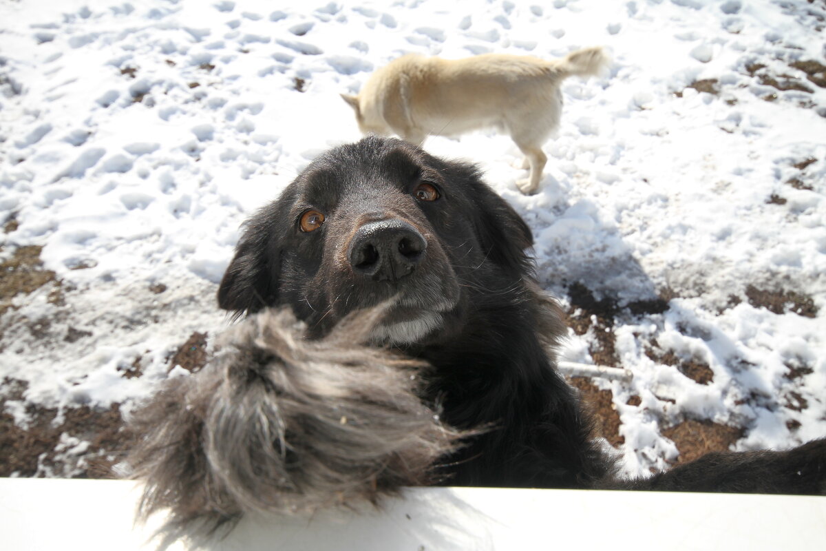 Зовёт на улицу. - Андрей Катков Зовёт на улицу. - Андрей Катков