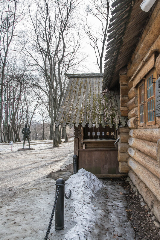 Петр I любуется своим Новодвинским домом - Сергей Лындин