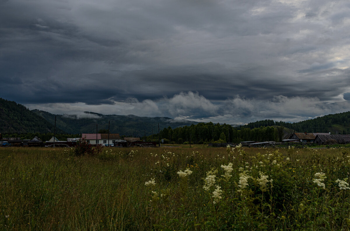 *** - Елена Берсенёва