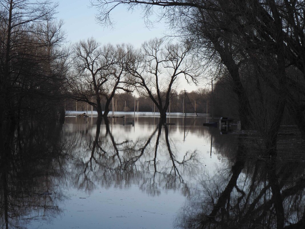 На Андреевском лугу одна вода 31 марта - Евгений 