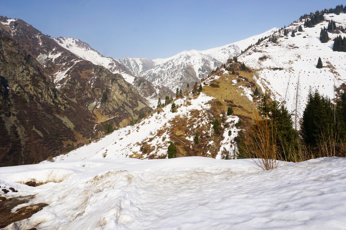 Almaty. - Murat Bukaev 