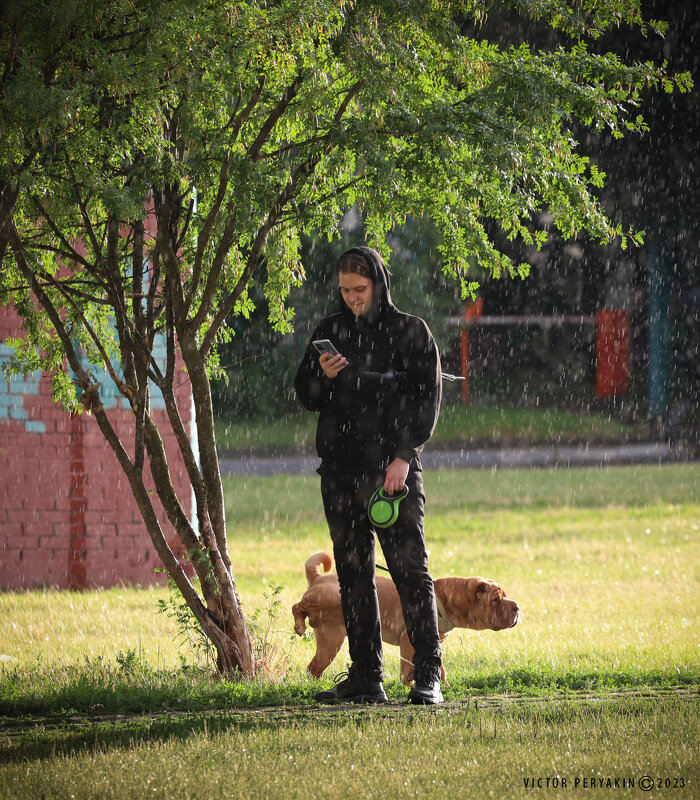Скрытое послание.... - Виктор Перякин Скрытое послание.... - Виктор Перякин