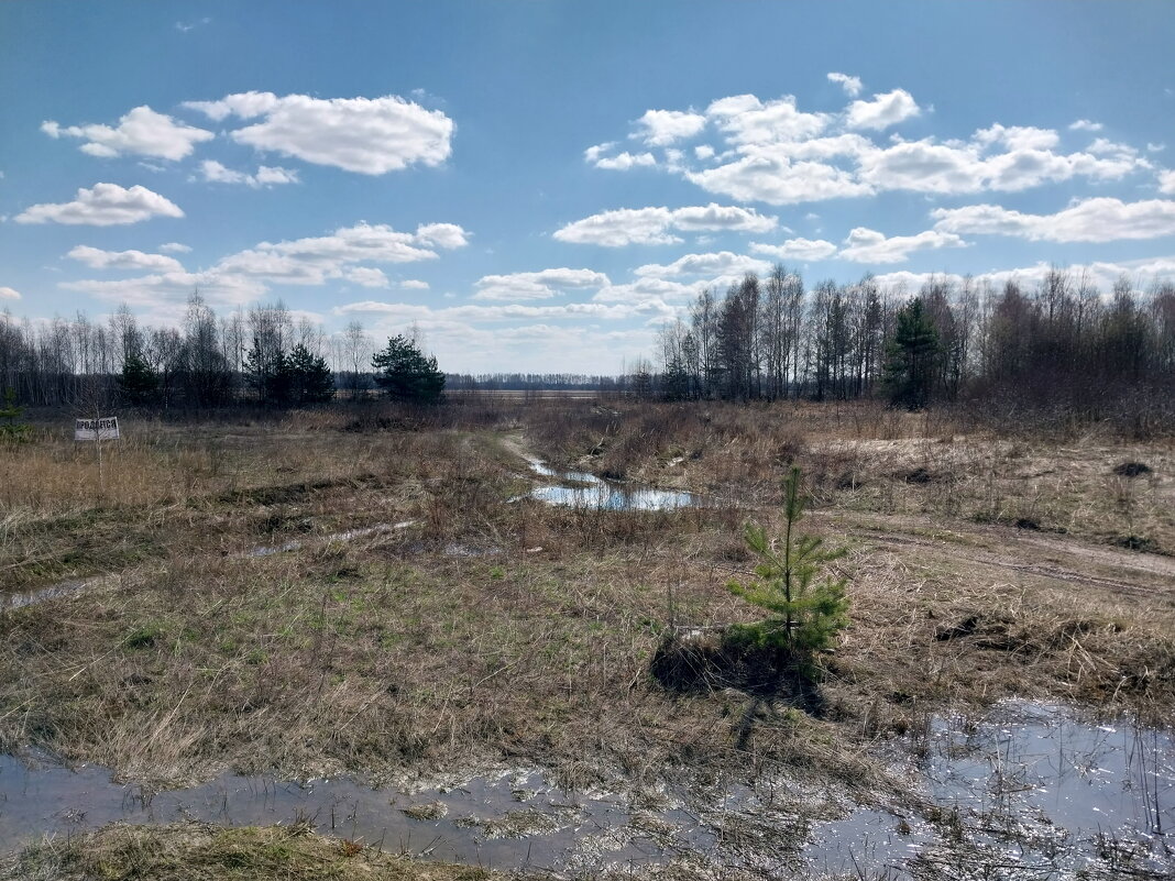 Родные просторы - Tarka 