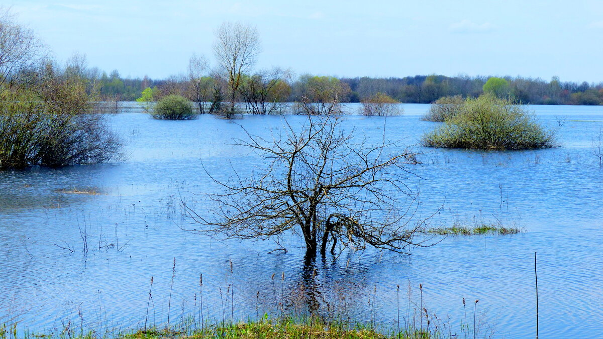 весна 23 - большая вода 1 - Александр Прокудин весна 23 - большая вода 1 - Александр Прокудин