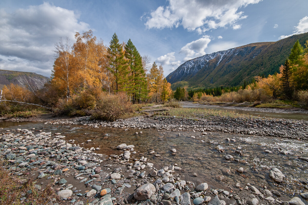 *** - Юрий Никитенко *** - Юрий Никитенко
