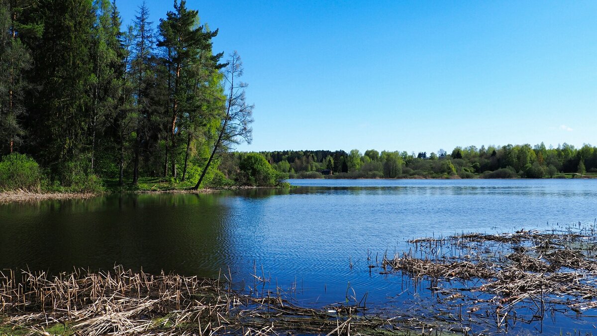 Про смоленскую весну. - Милешкин Владимир Алексеевич Про смоленскую весну. - Милешкин Владимир Алексеевич