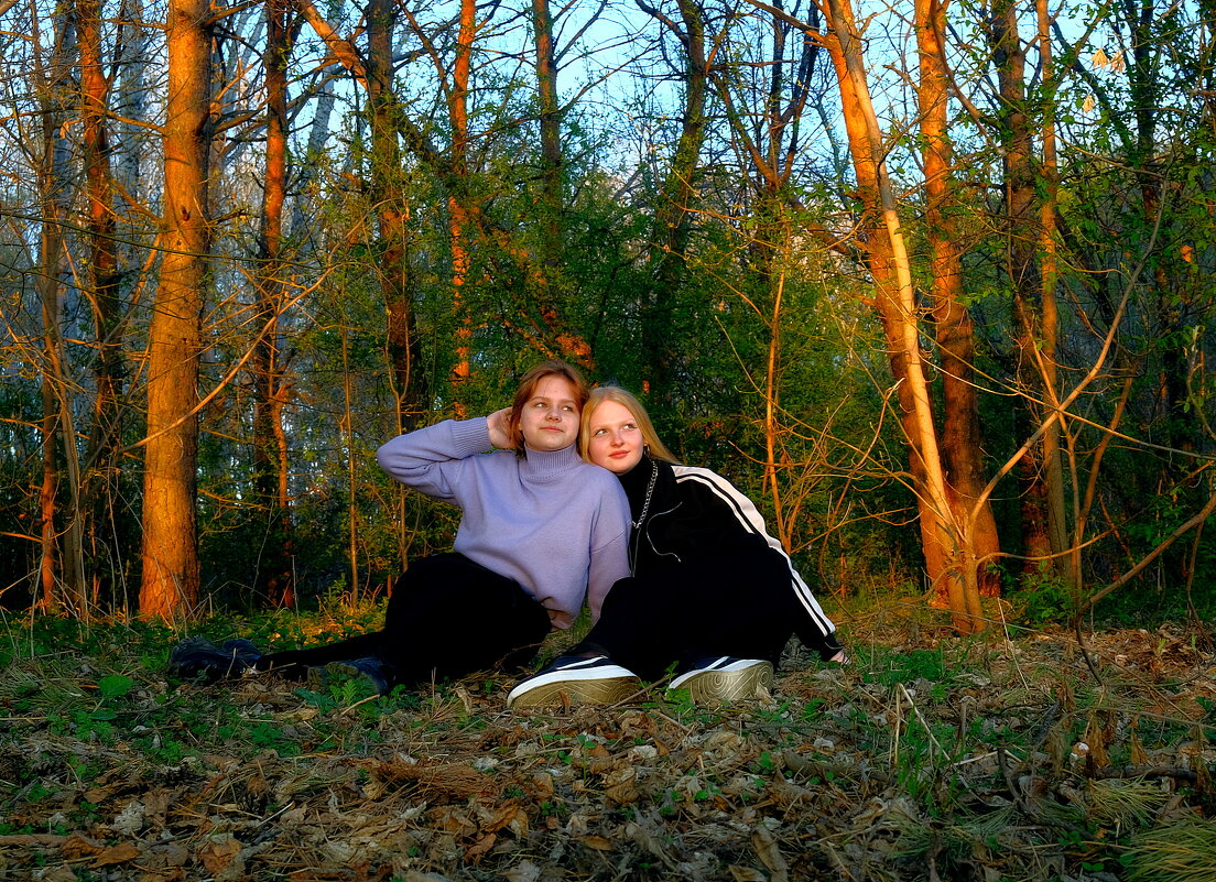 Хроники "Нарнии" - Владимир Куликов