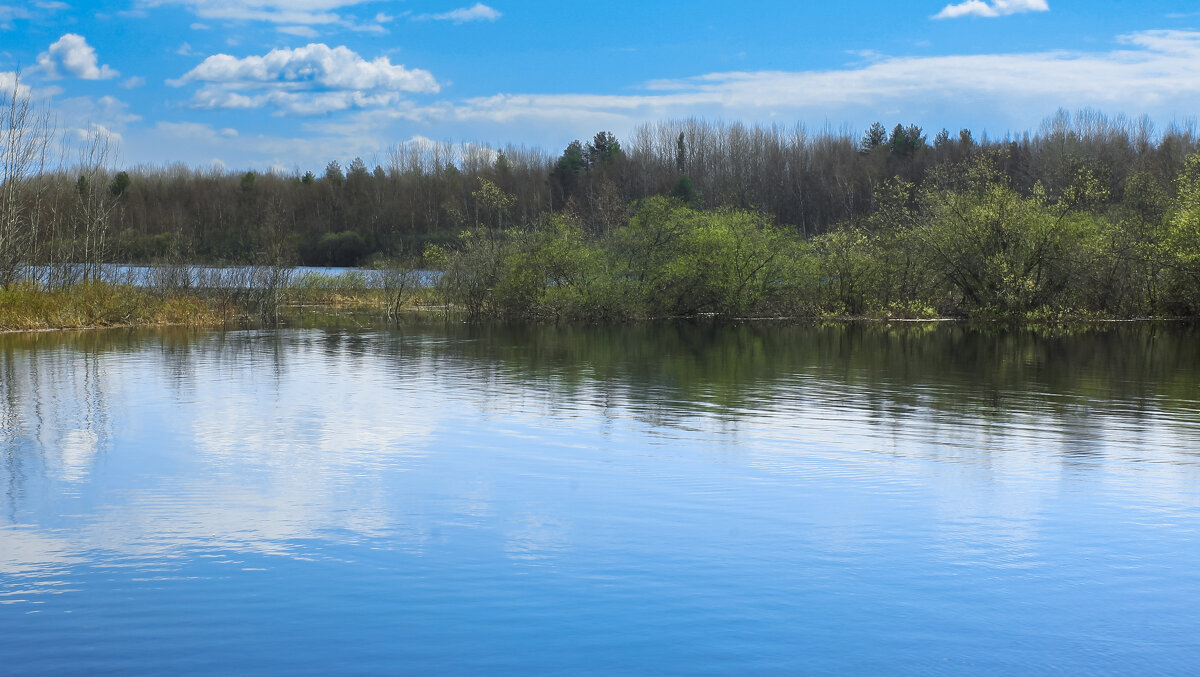 Full-flowing river Bolshoy Puchkas on a clear spring morning - Sergey Sonvar