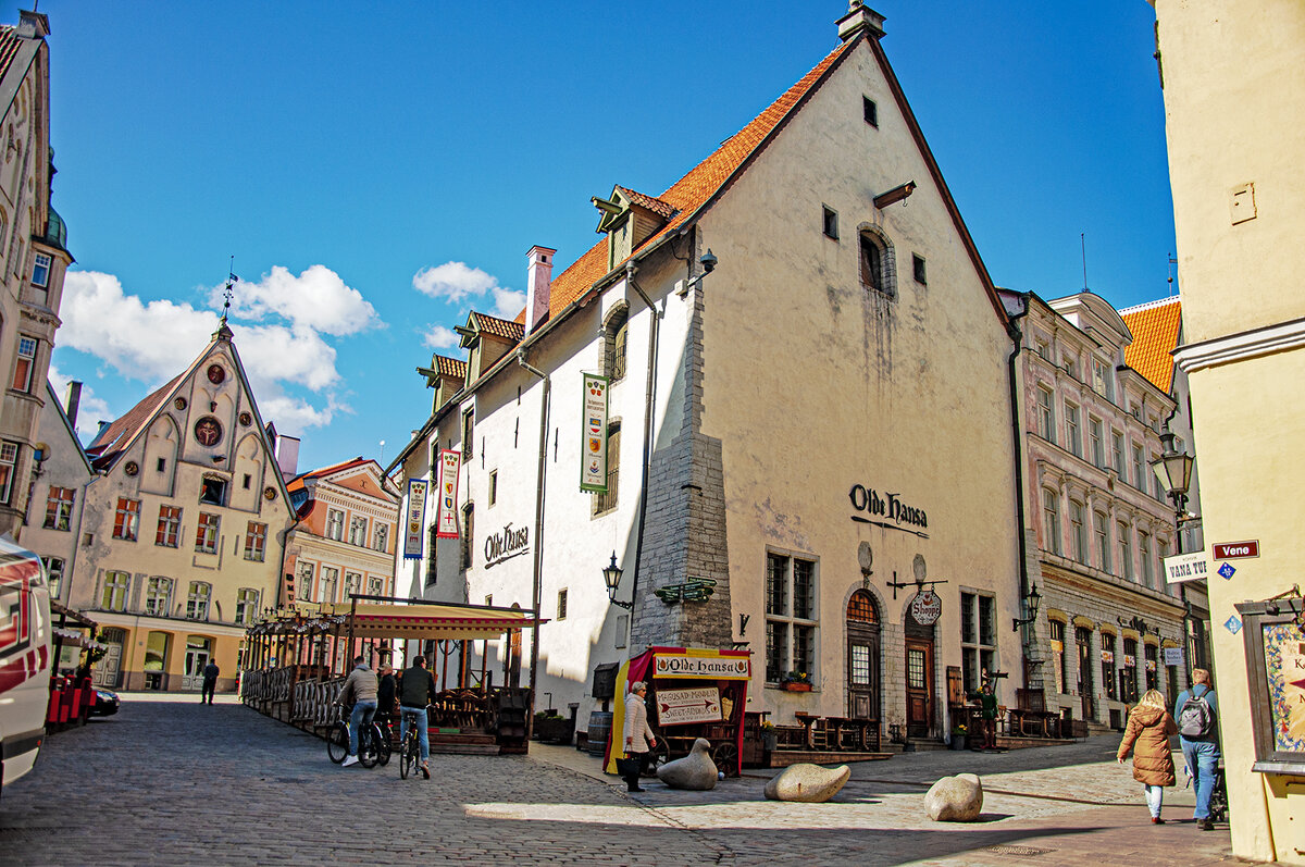 VecTallina - Roman Ilnytskyi