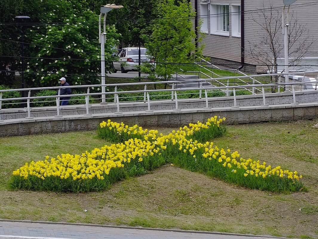 стрижка "Х"... - Фёдор Меркурьев