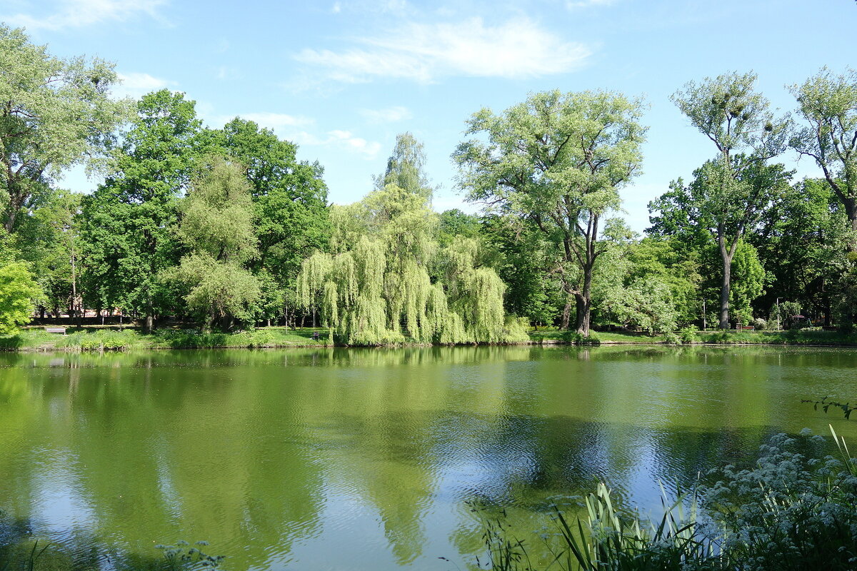 Парк Южный, Калининград - Маргарита Батырева