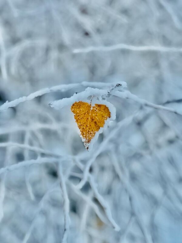 Карелия - Наталья Дейнес