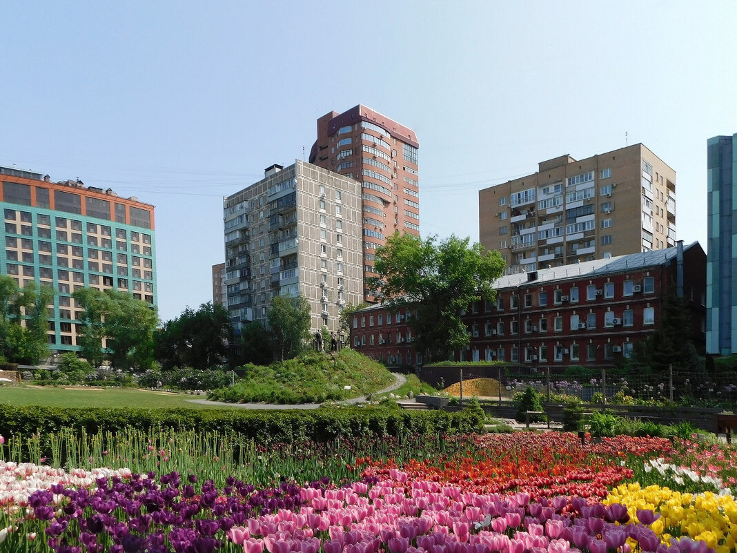 Вид на город - Наиля Вид на город - Наиля