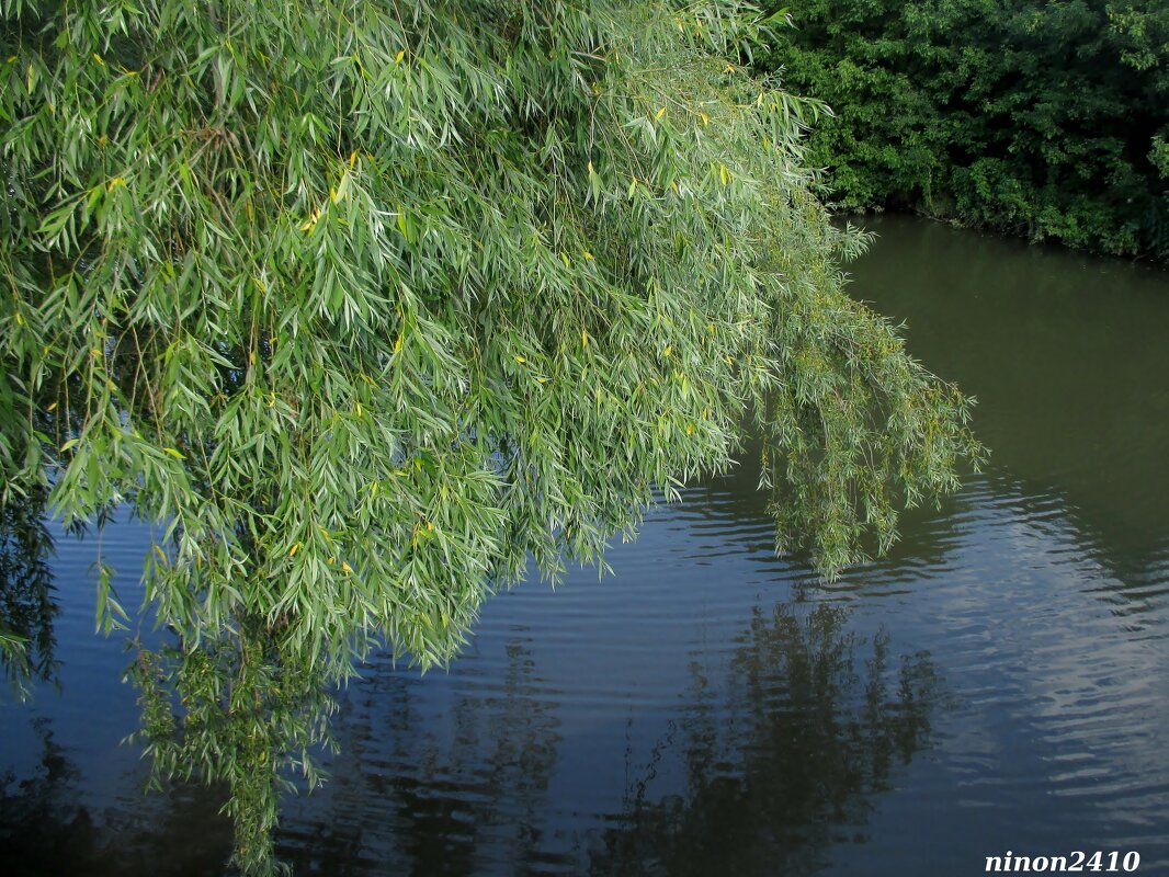 В ростовском экопарке - Нина Бутко
