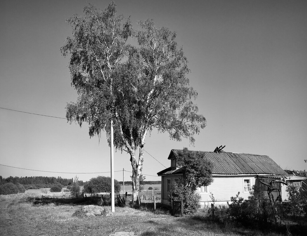 На краю деревни - Юлия Фотолюбитель