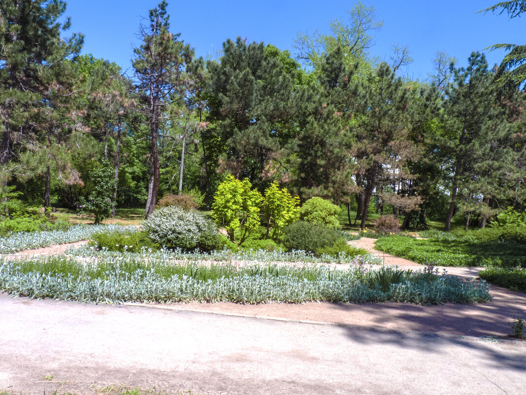 Пейзажи ботанического сада - Валентин Семчишин Пейзажи ботанического сада - Валентин Семчишин