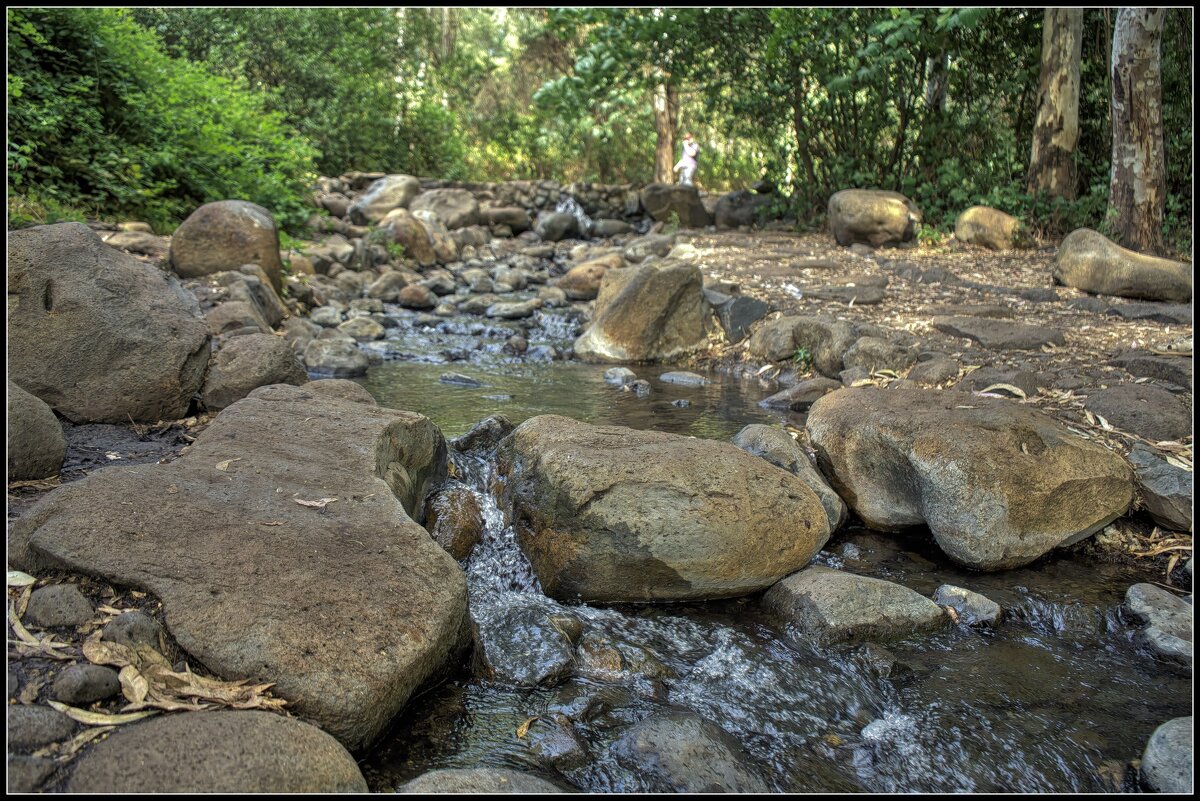 Эдемские источники Израиль природа Edenic sources Israel nature - ujgcvbif 