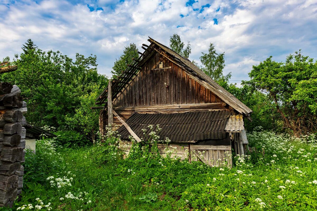 Старый дом - Александр 