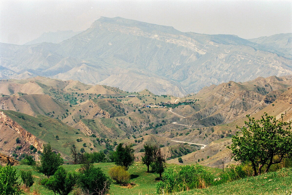 Рассветный пейзаж с персиковыми деревьями. - M Marikfoto Рассветный пейзаж с персиковыми деревьями. - M Marikfoto