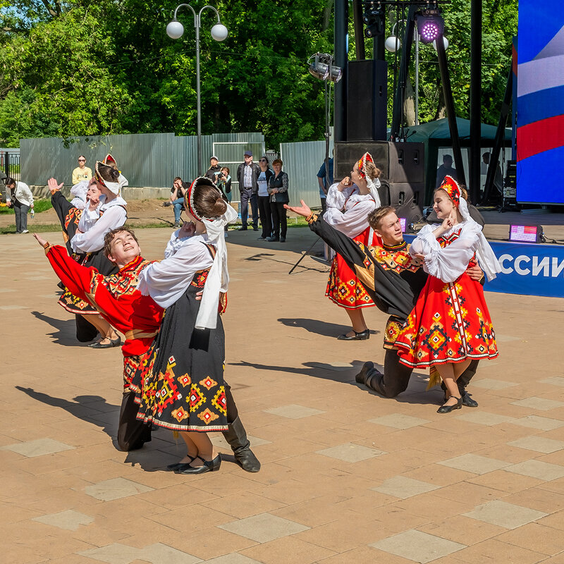 День России. - Олег Пучков День России. - Олег Пучков