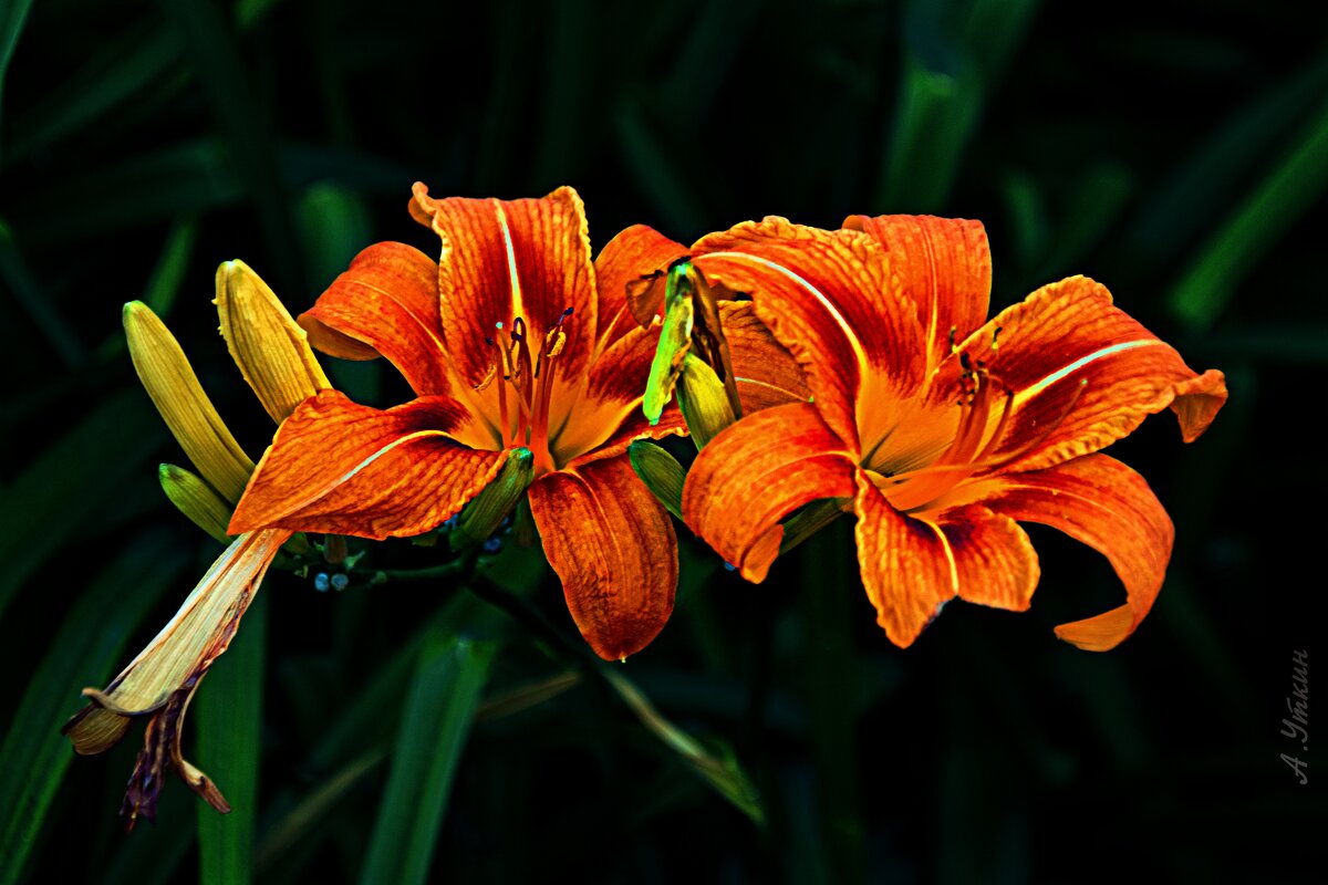 *** - Анатолий Уткин *** - Анатолий Уткин