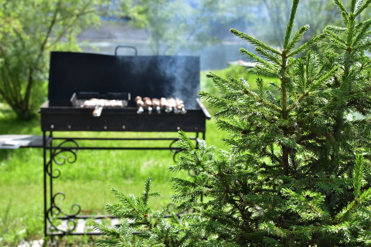 С дымком) - Владимир Звягин