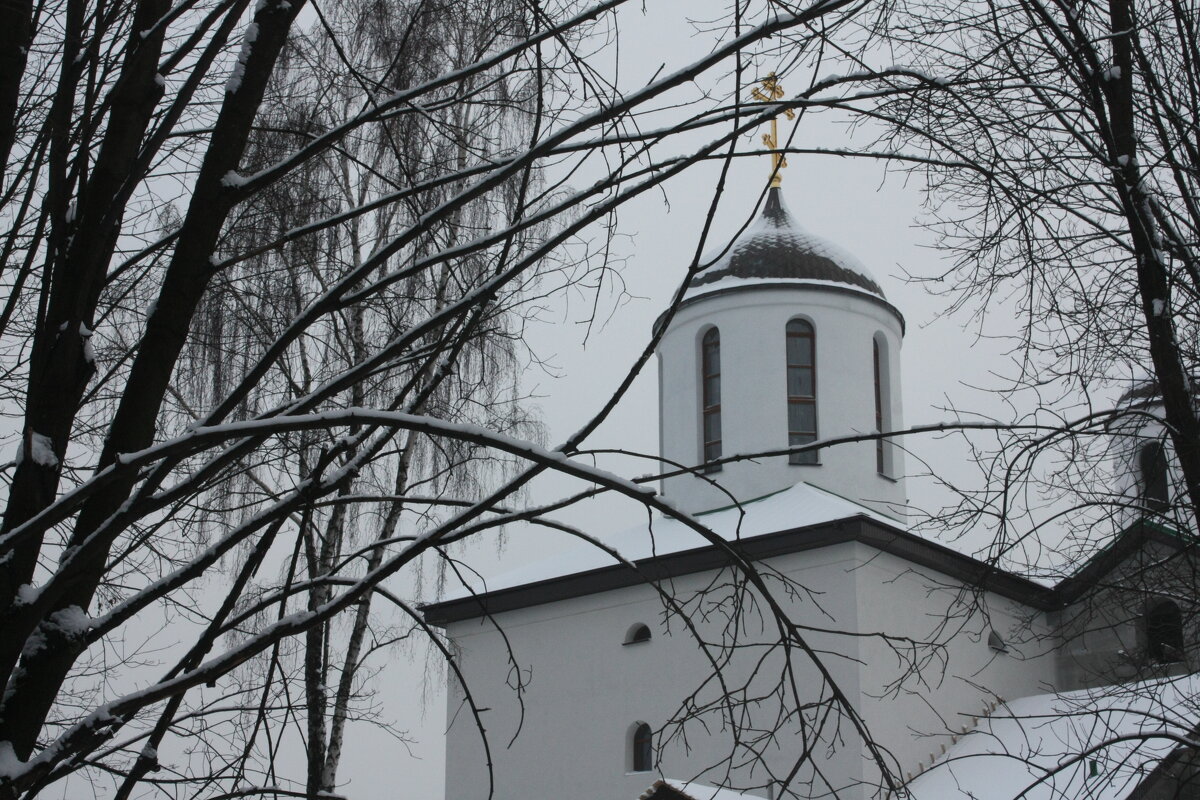 В  зимнем парке. Севастопольский парк в городе Минск - Nonna 