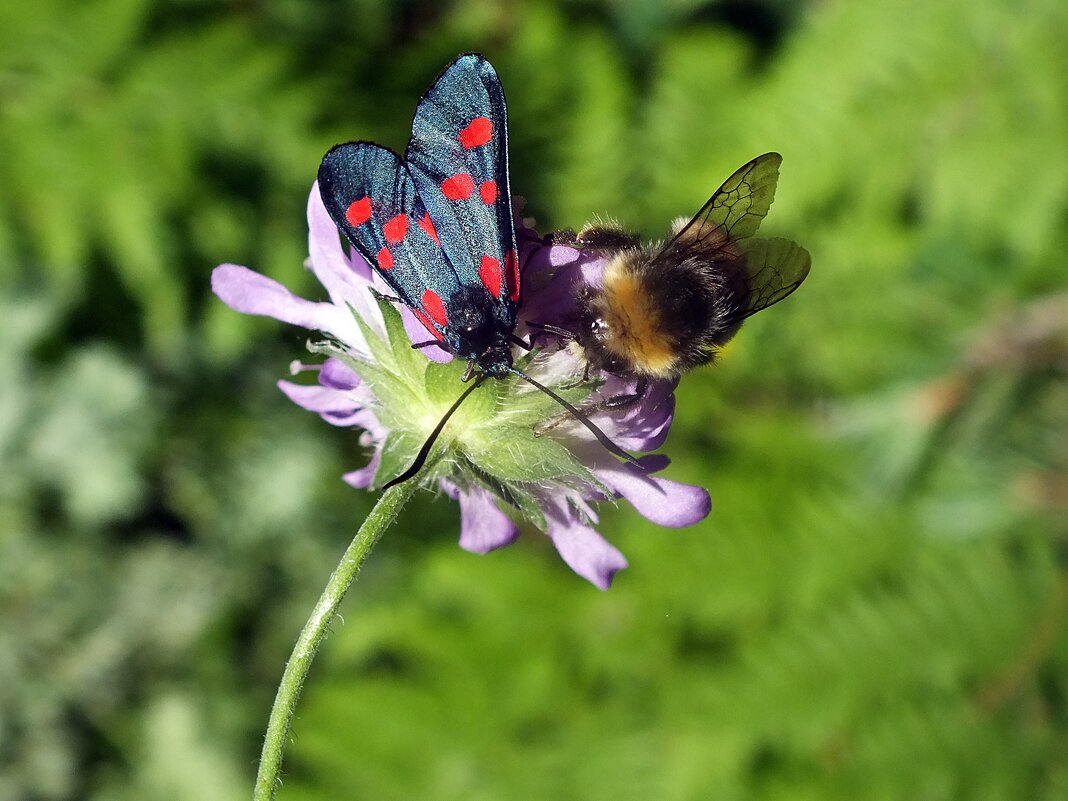 Вот и встретились два одиночества ... - Зоя Мишина Вот и встретились два одиночества ... - Зоя Мишина