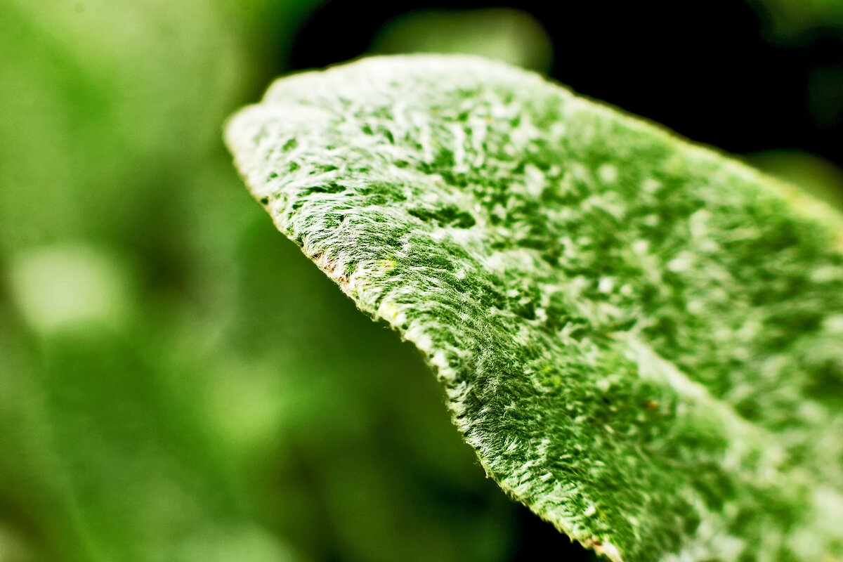 На участке - Юрий Гайворонскiий На участке - Юрий Гайворонскiий