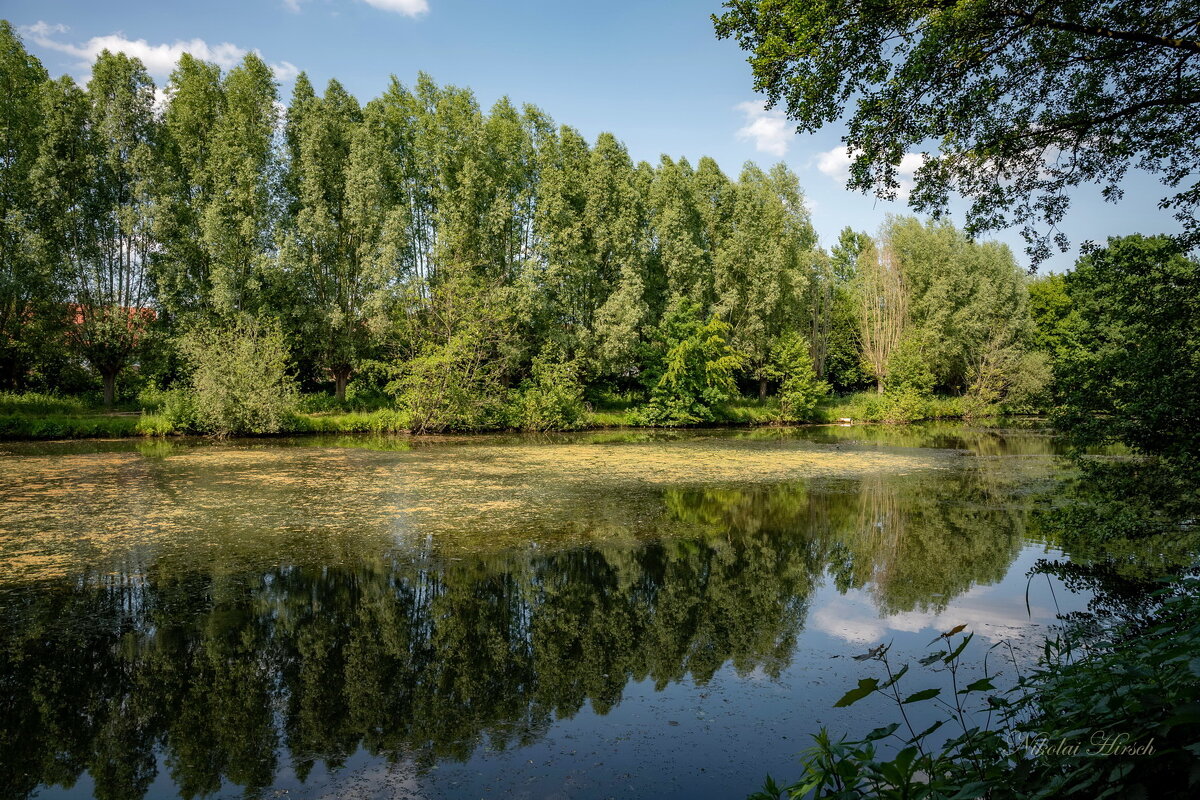 *** - Николай Гирш