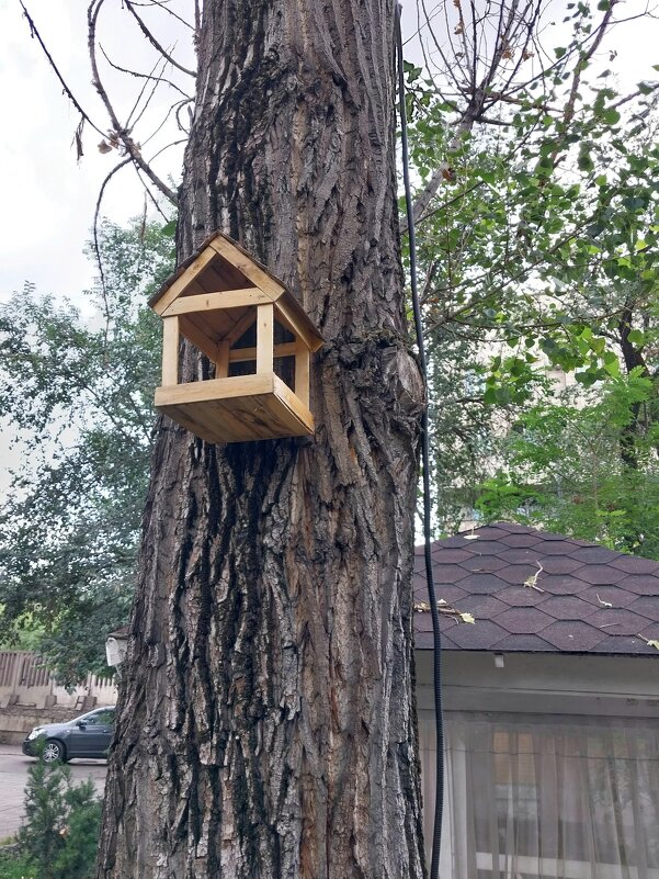 Almaty - Murat Bukaev Almaty - Murat Bukaev