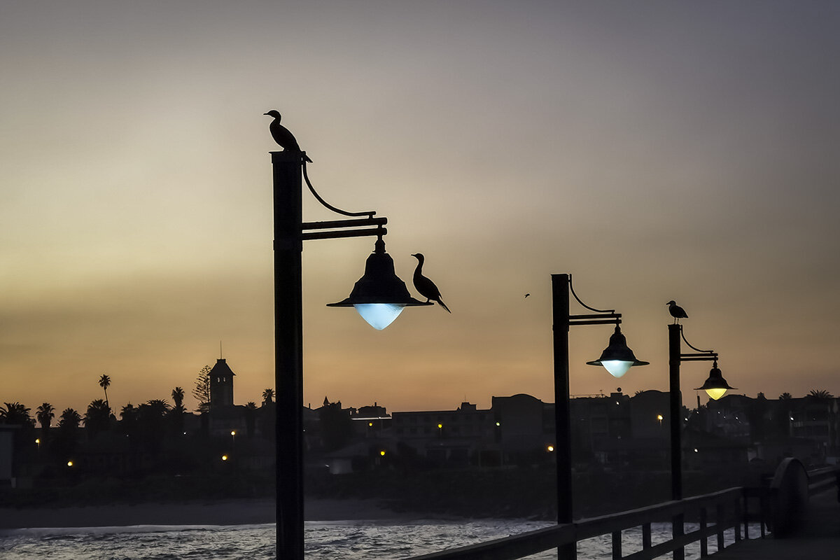 Перед восходом - Geolog 8 Перед восходом - Geolog 8