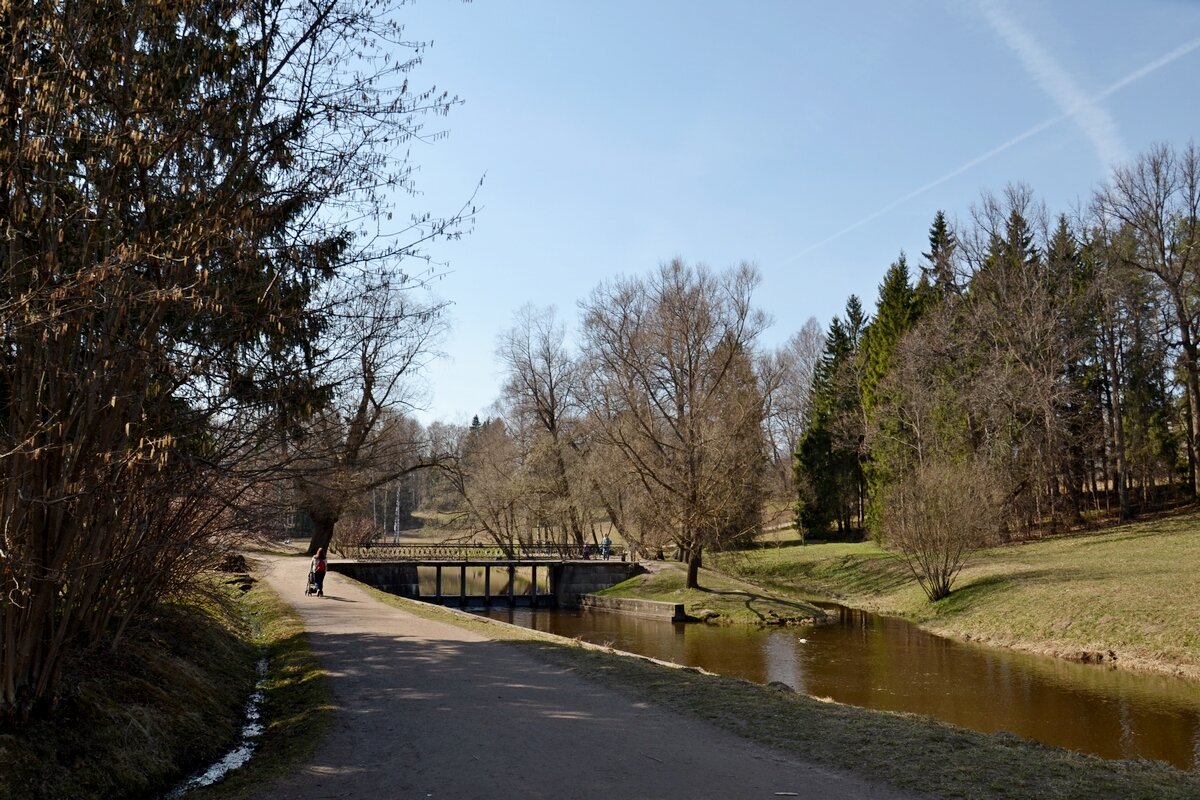 ПАВЛОВСК, прогулка. - Виктор Осипчук